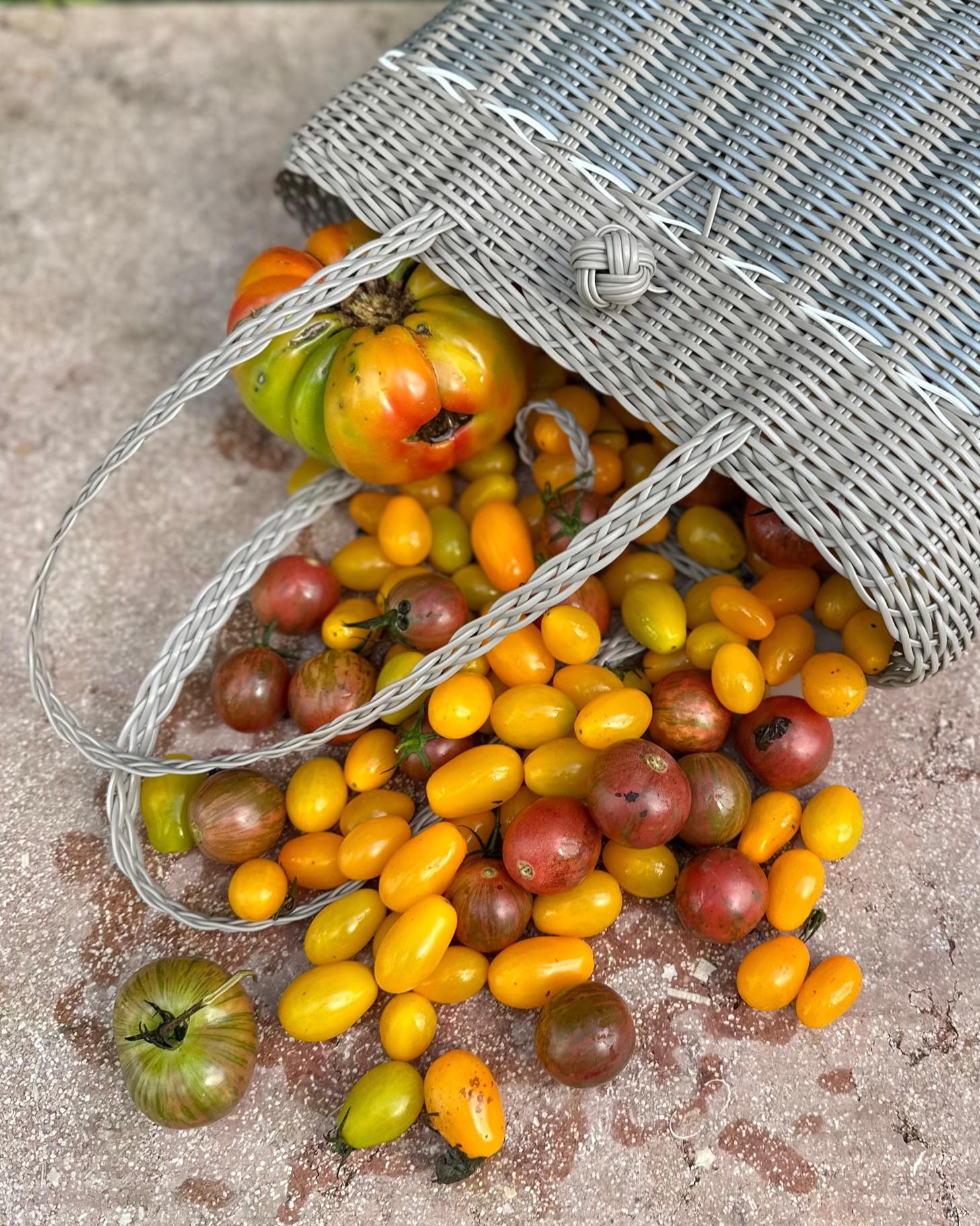 Extra Small, Guadalupe - Putty + Silver Tote