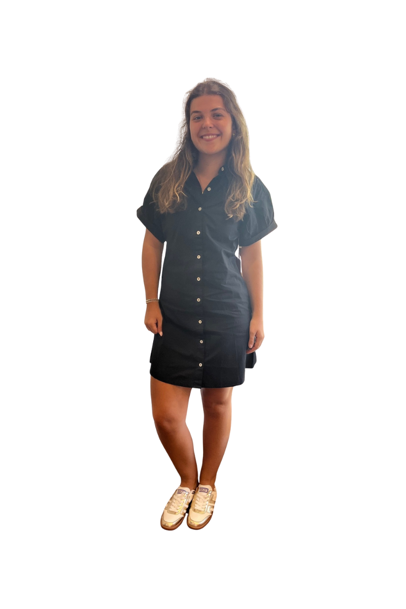 Aster Short Sleeve Pintuck Dress