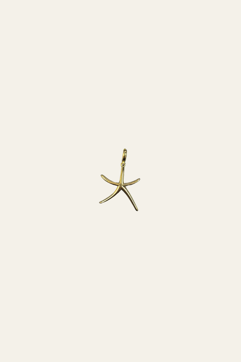 Smooth Starfish Gold Charm