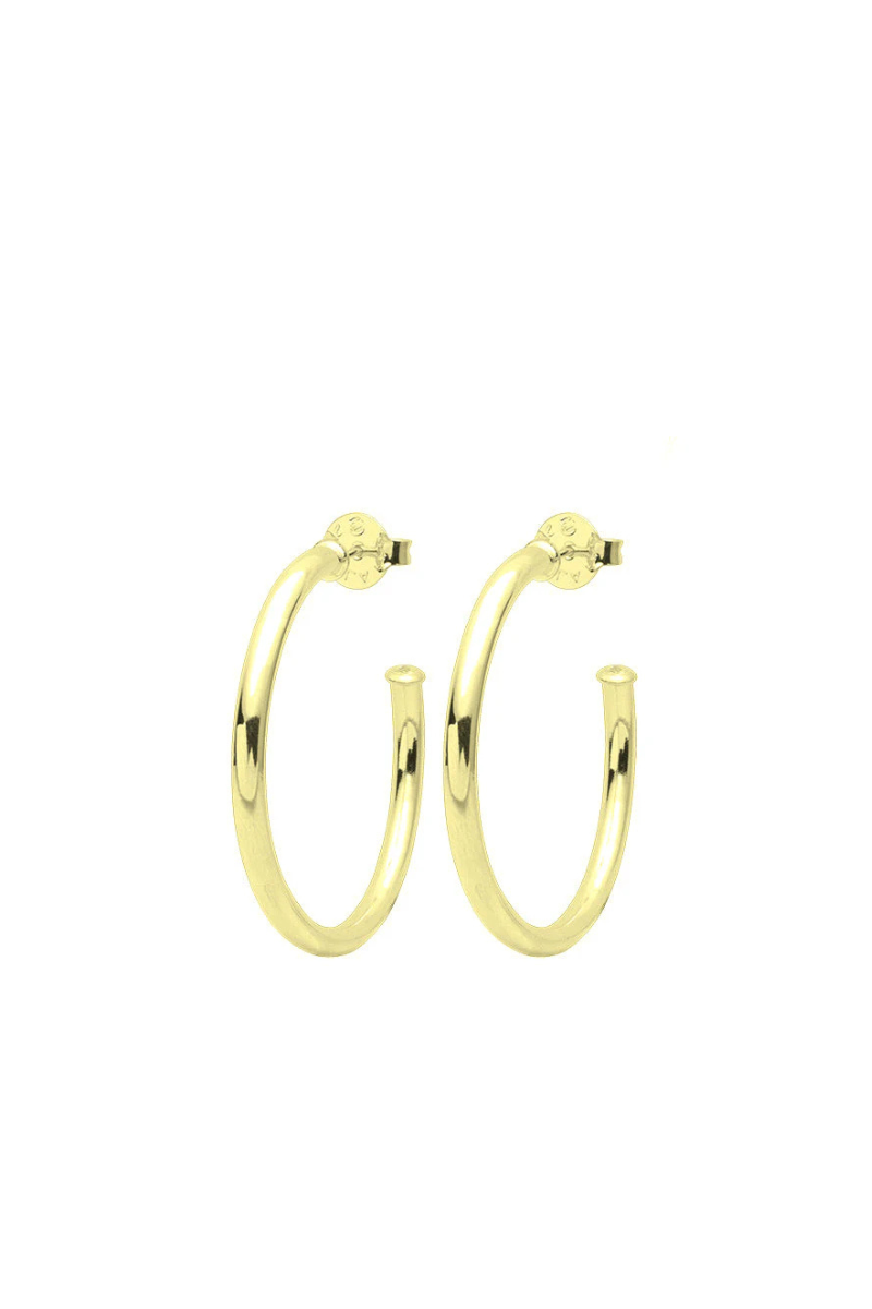 Small Everybody's Favorite Hoops