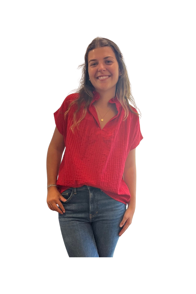 Vicki Short Sleeve Pintuck Top