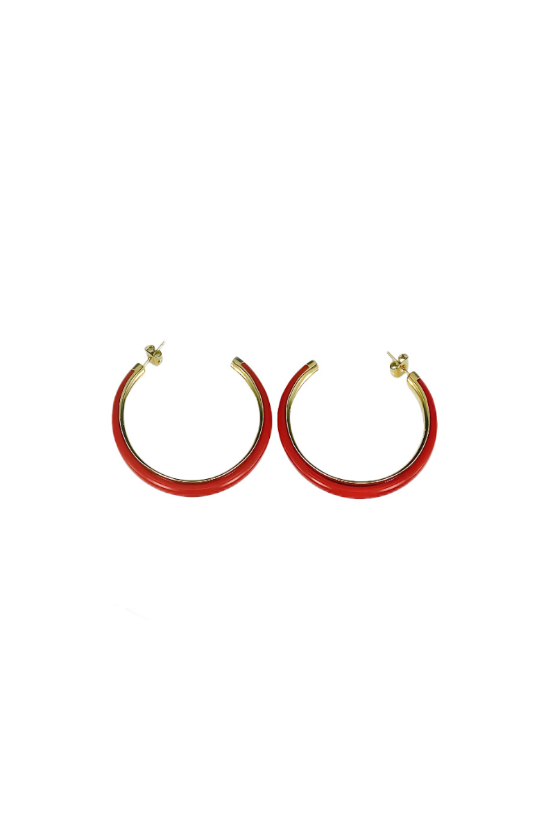 Two Tone Hoop Earrings