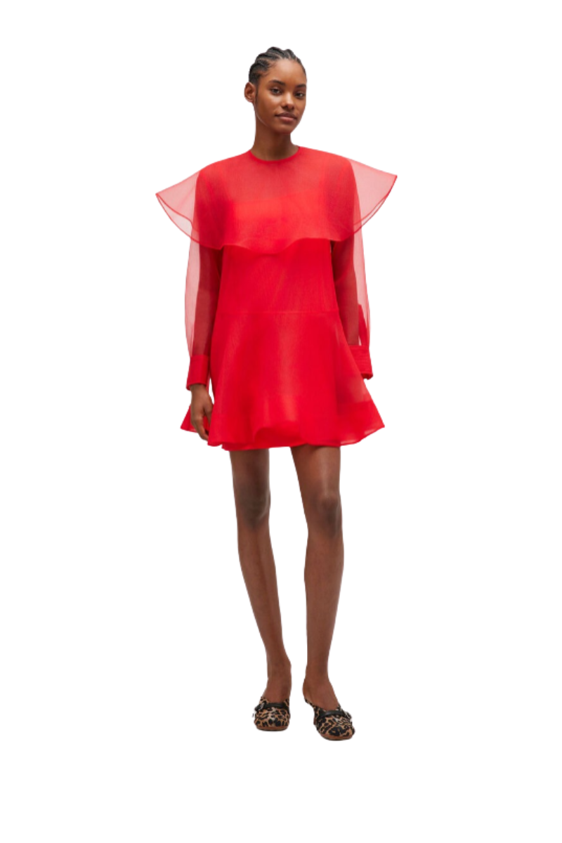 Textured Organza Mini Dress