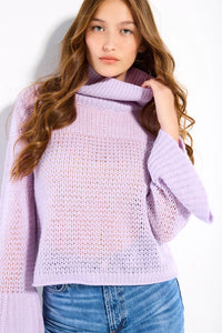 Lisa Todd - Purple Passion Softy Lofty Sweater