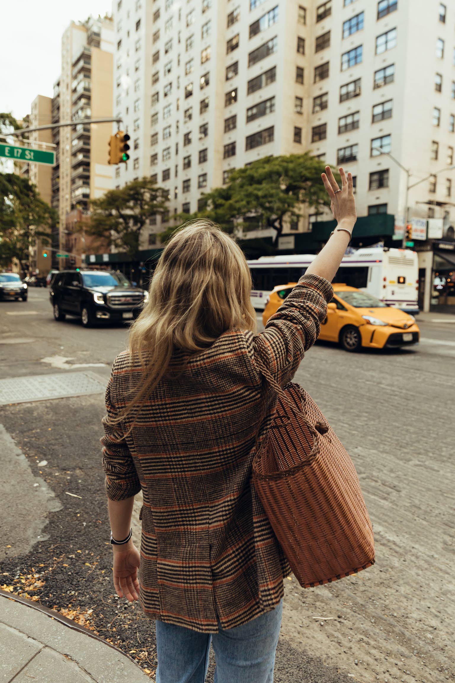 Small, Maggie's Picnic Tote