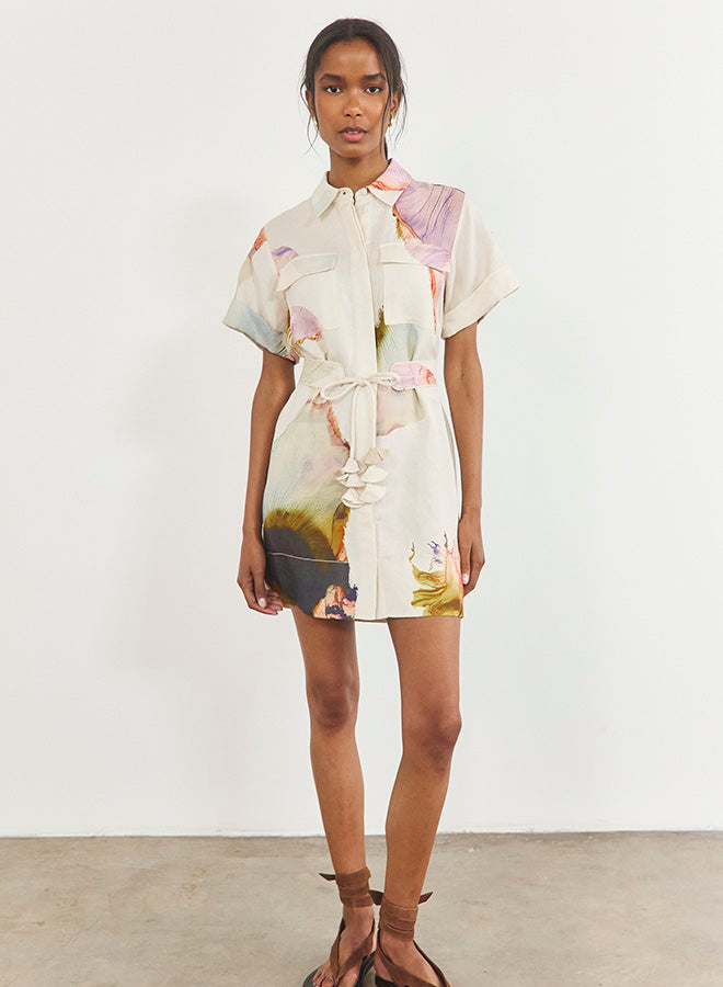 Nicole Dress