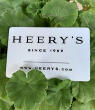 Load image into Gallery viewer, Heery&#39;s Clothes Closet Gift Card